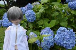 255653 B