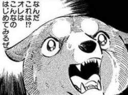 52749 B