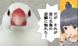 82999 B