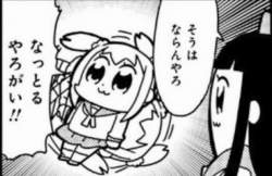 50544 B
