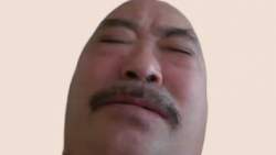 48895 B