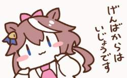 38249 B