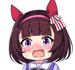 328464 B