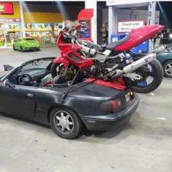 55576 B