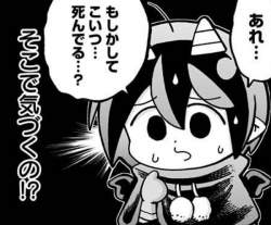 50569 B