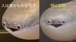 120630 B