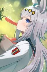 241558 B