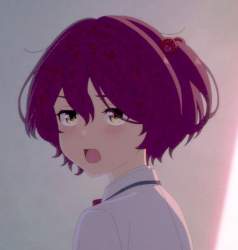 25056 B