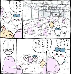 529254 B