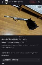 1690633 B