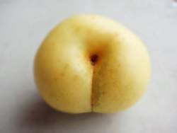 19040 B