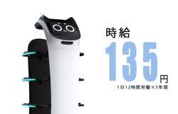 75245 B