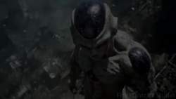 2403481 B