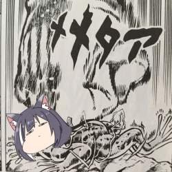 303929 B