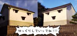 1377271 B