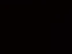 5547304 B