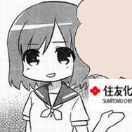 44453 B