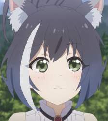 41267 B