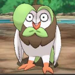 22929 B