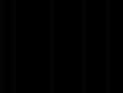 1002833 B