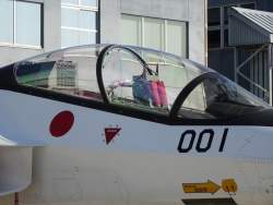 217647 B