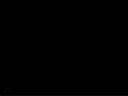 1167113 B