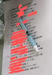 256086 B