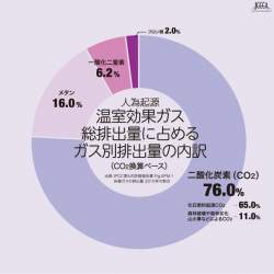 446330 B