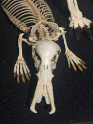 8785 B