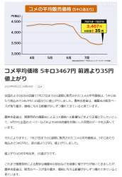 593444 B