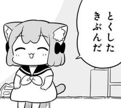 53411 B