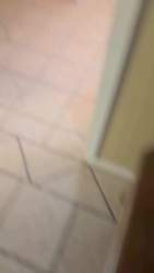 3696918 B