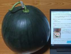 735221 B