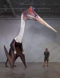 8002 B