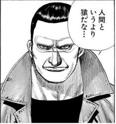 49764 B