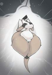79488 B
