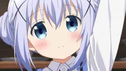 44526 B