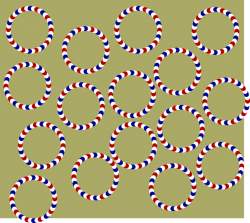 421979 B