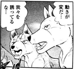 88476 B